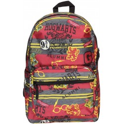 Harry Potter Hogwarts School