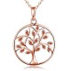 Pendant Gemstone White/Rose Gold Plated Jewelry