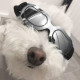 Dog Sunglasses Small Dog