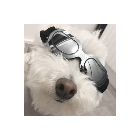 Dog Sunglasses Small Dog