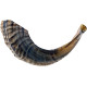 KOSHER ODORLESS NATURAL SHOFAR