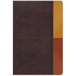 Reina Valera 1960 Biblia de Estudio Arcoiris