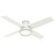 Hunter Fan Company 59242 Hunter 52" Dempsey