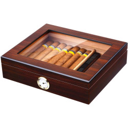 Bald Eagle - Humidor