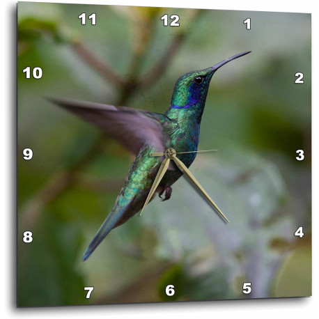 Monteverde Costa Rica Central America Wall Clock, 10" x 10"