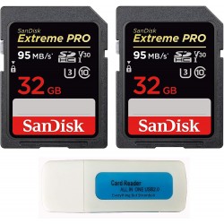 SanDisk 32GB (Two Pack)