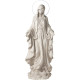 Virgin Mary Heavens Light Statue