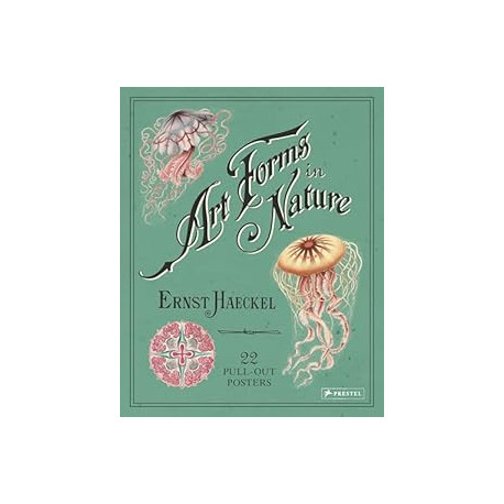 Art Forms in Nature: 22 Pull-Out Posters