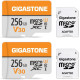 Gigastone 256GB 2-Pack Micro SD Card, 4K Video Pro