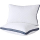 Pillows for Sleeping (2-Pack)