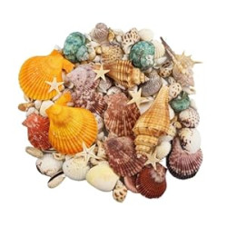 135 PCS Sea Shells Mixed Beach Seashells Starfish