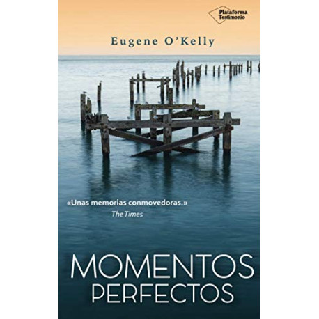 Momentos perfectos