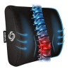 SAMSONITE Lumbar Support Pillow
