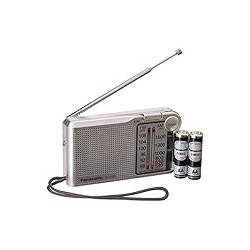Panasonic RFP-150D Battery Operated AM/FM Portable Pocket Size Radio (Silver/mat)