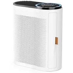 Air Purifiers for Home Large Room