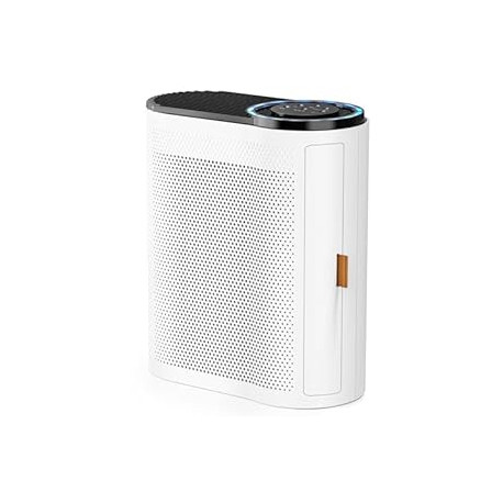 Air Purifiers for Home Large Room