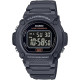 Casio W219H Series