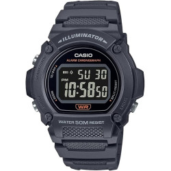 Casio W219H Series