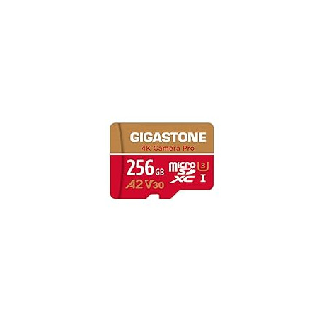 GIGASTONE 256GB Micro SD Card