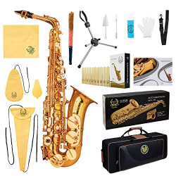 Eb Alto Saxophone With Carrying Sax Case