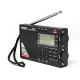 Tecsun Digital PL330 AM/FM