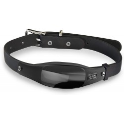 Smart Dog Collar, GPS Tracker, 2-Way Audio, Water Resistant