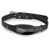 Smart Dog Collar, GPS Tracker, 2-Way Audio, Water Resistant