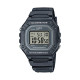 Casio W218H Series