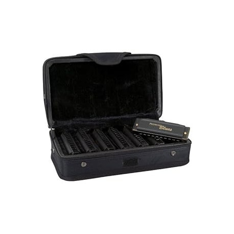 Hohner PBH7 Piedmont Blues Harmonica Set - 7-Pack