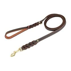 Leather Dog Leash 5 Foot
