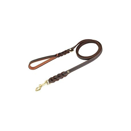 Leather Dog Leash 5 Foot