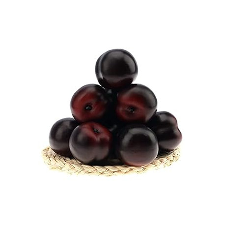 8pcs Artificial Realistic Brin Plum Fake