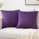 Cases for Couch and Bed Pillows, Purple, 20 x 20 Inches, Set of 2