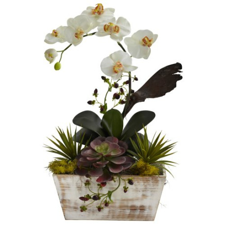 Natural Artificial Orchid & Succulent Garden