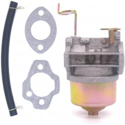 Carburetor for Robin EY20 EY15