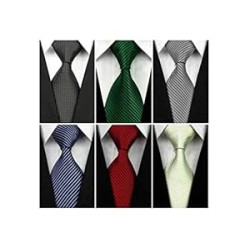 Lot 6 PCS Men's Class Ties Silk Tie