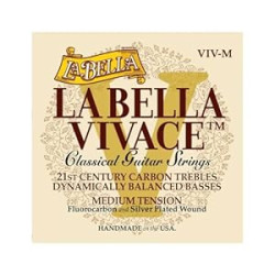 La Bella VIV-M Vivace Fluorocarbon Silver-Plated