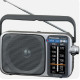 Panasonic RF-2400D Portable AM/FM Radio - Battery & AC Powered, Silver