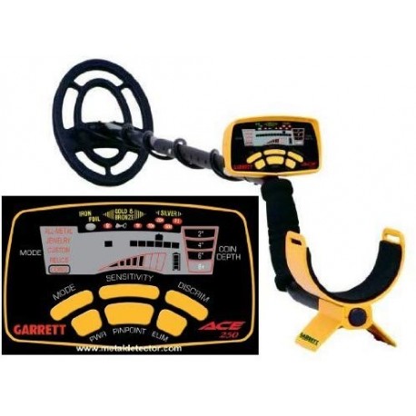 Ace 250 Metal Detector with Submersible Search Coil