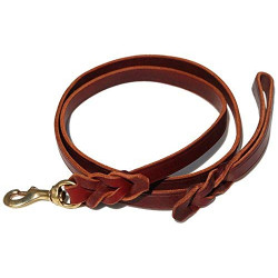Ray Allen Mfg Signature K9 Braided Leather Leash