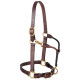 Weaver Leather 3-in-1 All Purpose Halter