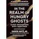 In the Realm of Hungry Ghosts: Close Encounters with Addiction