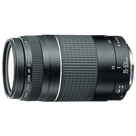 Canon RF 75-300mm f/4-5.6 Compact Telephoto Zoom Lens for RF Mount