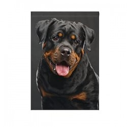 Rottweiler Dog Garden Flag Banner 12 x 18 Inch