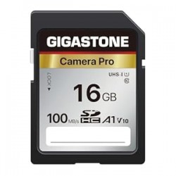 GIGASTONE 16GB SD Card, A1 V10 SDHC