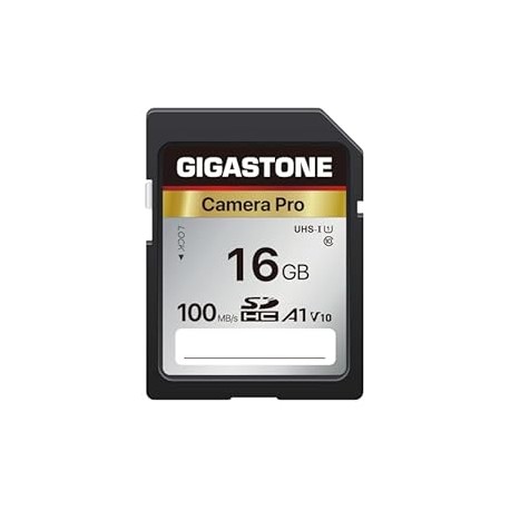 GIGASTONE 16GB SD Card, A1 V10 SDHC