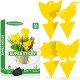 36 Pcs Classic Sticky Traps