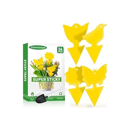 36 Pcs Classic Sticky Traps