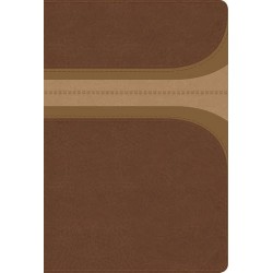 RVR 1960 Biblia de Estudio Arco Iris