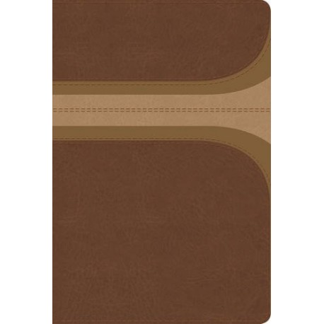 RVR 1960 Biblia de Estudio Arco Iris